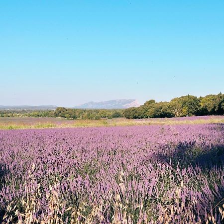 普罗旺斯地区艾克斯Maison Francoise住宿加早餐旅馆 外观 照片